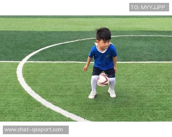 足球小将与足球小子的热血青春与梦想追逐之旅